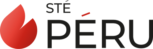 Logo perufioul
