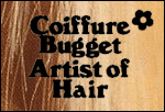 Logo Coiffure Bugget Artist of Hair