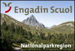 Logo Scuol Tourismus AG