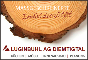 Logo Luginbühl AG Diemtigtal