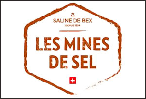 Logo Mines de sel
