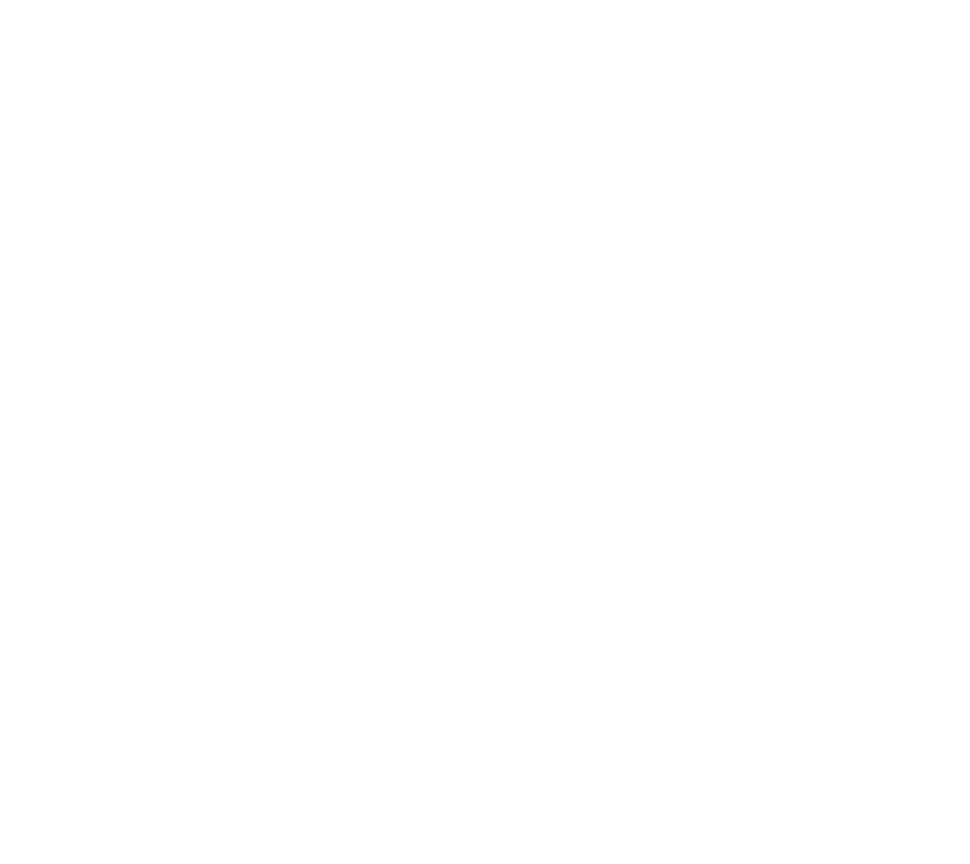 Logo LS Solutions