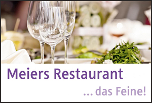 Logo Ernst Meier AG