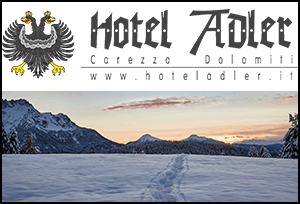Logo Dolomiten Hotel ADLER Carezza