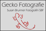 Logo Susan Brunner