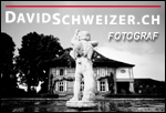 Logo David Schweizer Fotograf