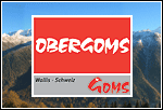 Logo Obergoms Tourismus AG