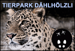 Logo Tierpark Dählhölzli