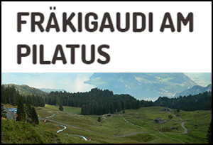 Logo Fräkigaudi