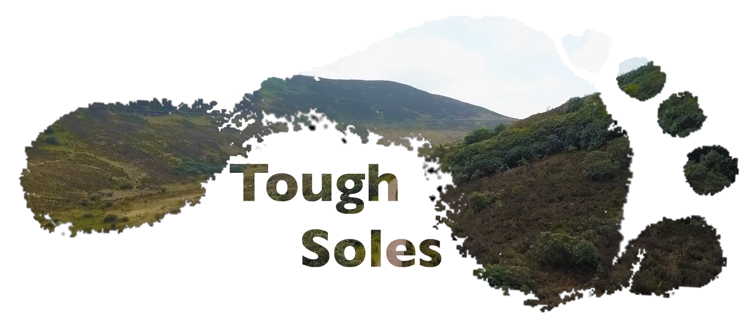Logo Tough Soles