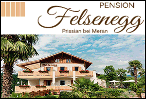 Logo Pension Felsenegg