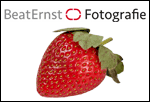 Logo Beat Ernst Fotografie