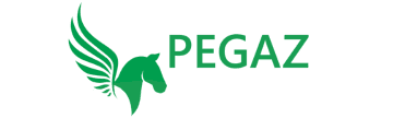 Logo OSK Pegaz