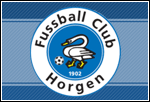 Logo Fussball Club Horgen