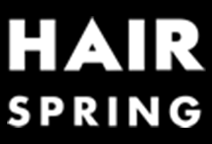 Logo Coiffeur HAIR SPRING