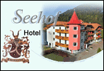 Logo Hotel Seehof